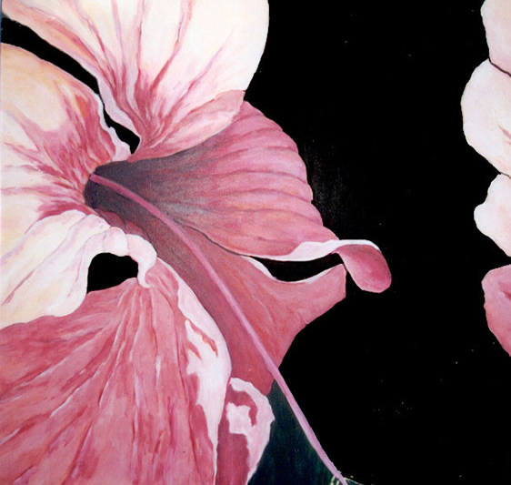 Hibiscus Diptych: Opening Up