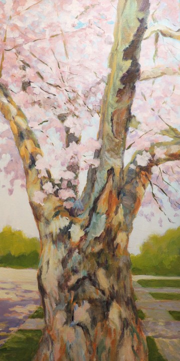 Cherry Blossom Trees 2021 #1