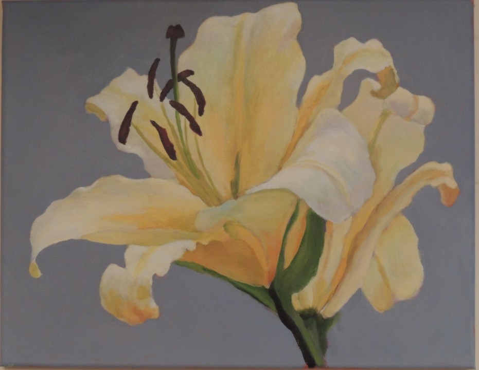 Yellow Lily 14 x18 $425
